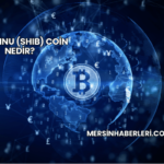 Shiba Inu (SHIB) Coin Nedir?