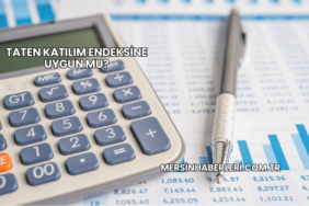 Taten Katılım Endeksine Uygun mu?