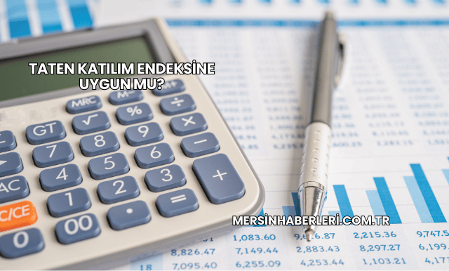 Taten Katılım Endeksine Uygun mu?