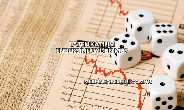 Taten Katılım Endeksine Uygun mu?