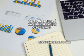 Tatlıpınar Enerji Katılım Endeksine Uygun mu?