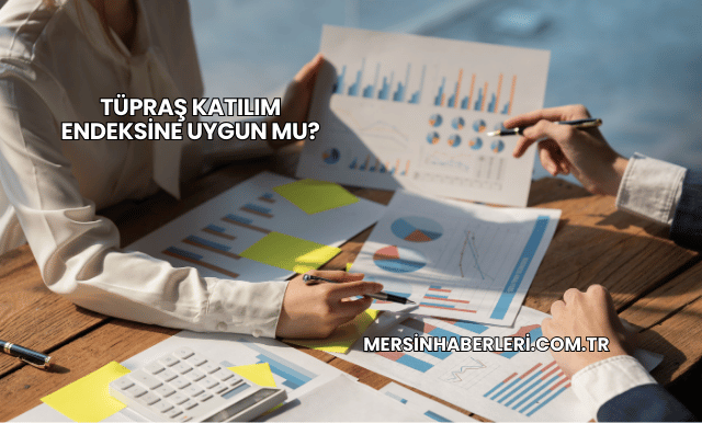 Tüpraş Katılım Endeksine Uygun mu?