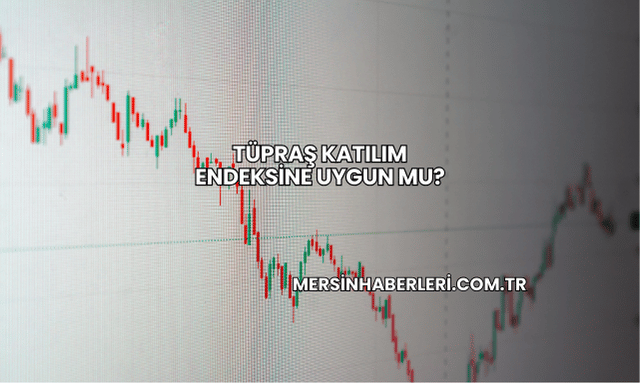 Tüpraş Katılım Endeksine Uygun mu?