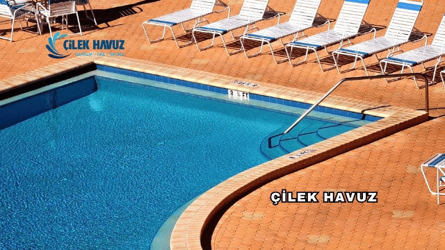 Çilek Havuz Hakkında