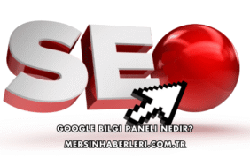 Google Bilgi Paneli Nedir?