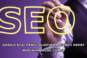 Google Bilgi Paneli Oluşturma Hizmeti Nedir?