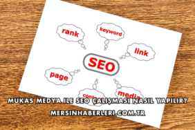 Mukas Medya ile SEO Çalışması Nasıl Yapılır?